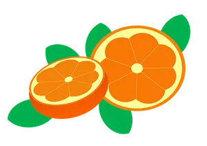 Sliced Oranges Illustration PNG Image