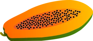 Sliced Papaya Vector Illustration PNG Image