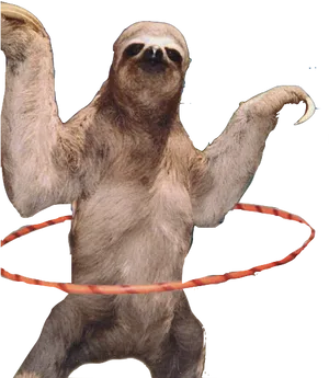 Sloth Hula Hooping Fun PNG Image