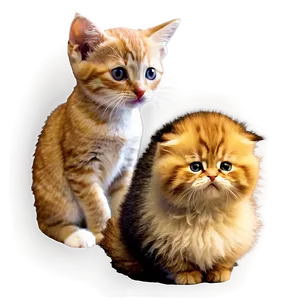 Small Cat Png Hjk PNG Image