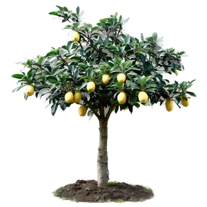 Small Fruit Tree Png Dsm PNG Image