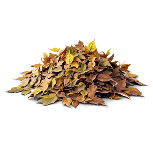 Small Leaf Pile Png Lcr6 PNG Image