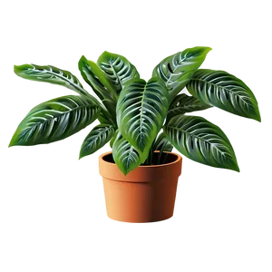 Small Plant B PNG Image