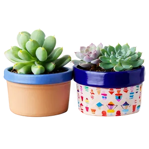 Small Potted Succulents Png 06122024 PNG Image