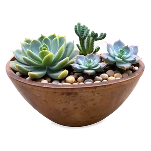 Small Succulent Gifts Png Vrg PNG Image