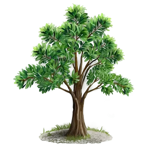 Small Tree No Background Png 06132024 PNG Image