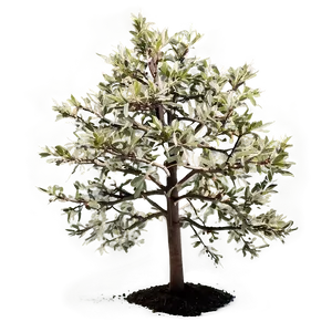 Small Tree Png Den PNG Image