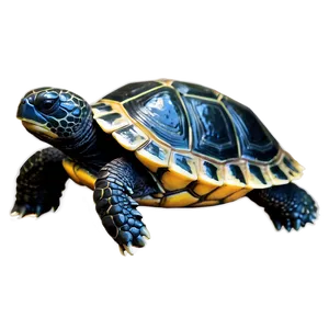 Smiling Baby Turtle Png Qbe73 PNG Image