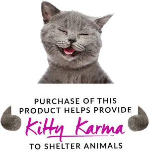 Smiling Cat Kitty Karma Ad PNG Image