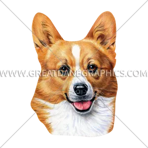 Smiling Corgi Portrait PNG Image