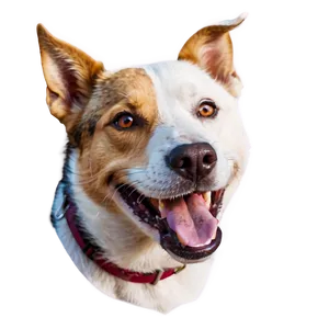 Smiling Dog Head Image Png Abj PNG Image