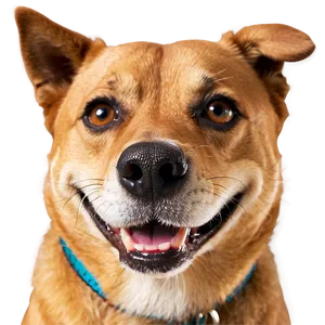 Smiling Dog Head Image Png Fuw30 PNG Image