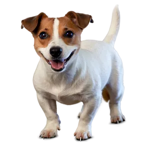 Smiling Jack Russell Png Vkp70 PNG Image