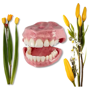 Smiling With Confidence Dentures Png Vus PNG Image