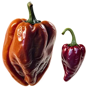 Smoked Habanero Pepper Png 06282024 PNG Image