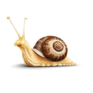 Snail Illustration Png Wjs PNG Image