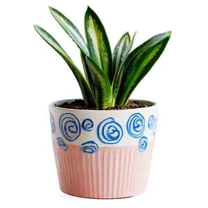 Snake Plant In Living Room Png 06122024 PNG Image