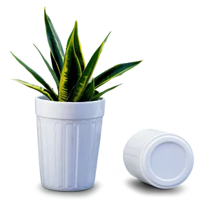 Snake Plant In White Pot Png Ohr88 PNG Image