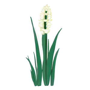 Snake Plant Line Art Png Aaw6 PNG Image