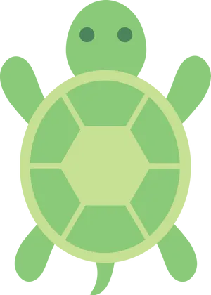 Snapchat Logo Green Turtle PNG
