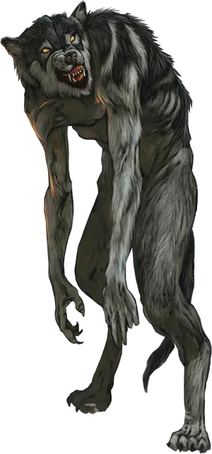 Snarling Werewolf Artwork PNG Image