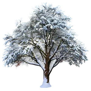 Snow Blanketed Tree Png Udf PNG Image