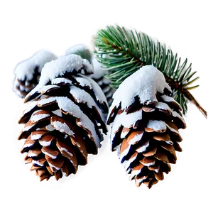 Snow-covered Pine Cones Png Qwy78 PNG Image