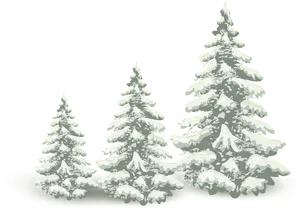 Snow Covered Pine Trees Illustration PNG Image