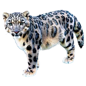 Snow Leopard And Mountain Background Png Pyp17 PNG Image