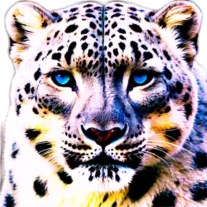 Snow Leopard Face Closeup Png 06122024 PNG Image