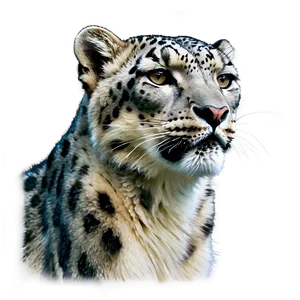 Snow Leopard Side Profile Png 2 PNG Image