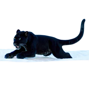 Snow Panthers In Winter Png 06202024 PNG Image