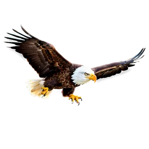 Soaring American Eagle Png Frg PNG Image