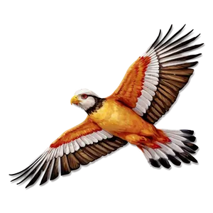 Soaring Bird Flight Png Qwf10 PNG Image