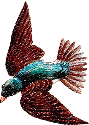 Soaring Bird Illustration.png PNG Image