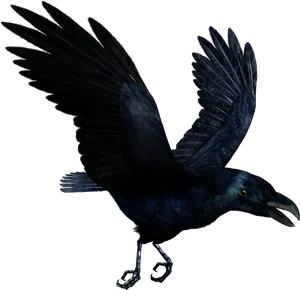 Soaring Black Raven PNG Image