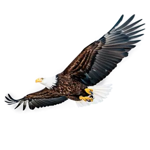 Soaring Eagle Flying Png Frc81 PNG Image