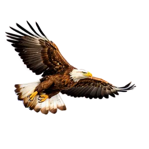 Soaring Golden Eagle Png 06202024 PNG Image