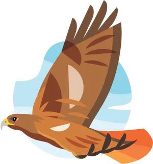 Soaring Hawk Illustration PNG Image