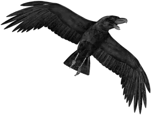 Soaring_ Raven_ Silhouette PNG Image