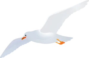 Soaring Seagull Vector PNG Image