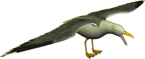 Soaring Seagull3 D Model PNG Image