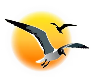 Soaring Seagulls Sunset Graphic PNG Image