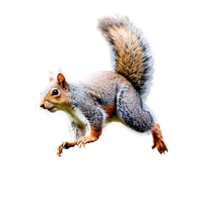 Soaring Squirrel Png Kmh PNG Image