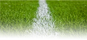 Soccer Field White Lineon Green Grass PNG Image