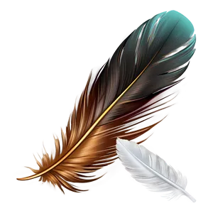 Soft Feather Clipart Png Hto PNG Image