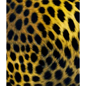 Soft Leopard Spots Png Vbo65 PNG Image