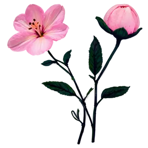 Soft Pink Flower Png Vmv4 PNG Image