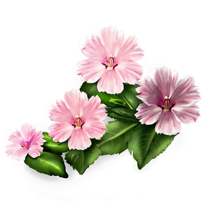 Soft Pink Flower Png Xou PNG Image