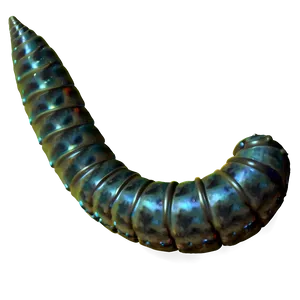 Soil Dwelling Worm Png Atv PNG Image